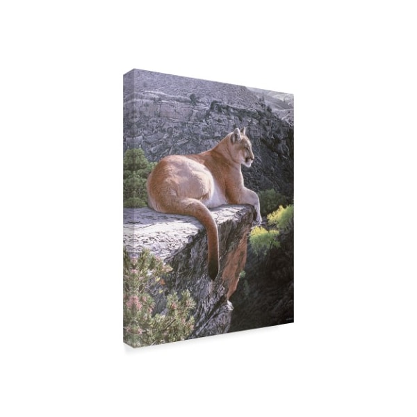 Ron Parker 'Cougar Country' Canvas Art,24x32